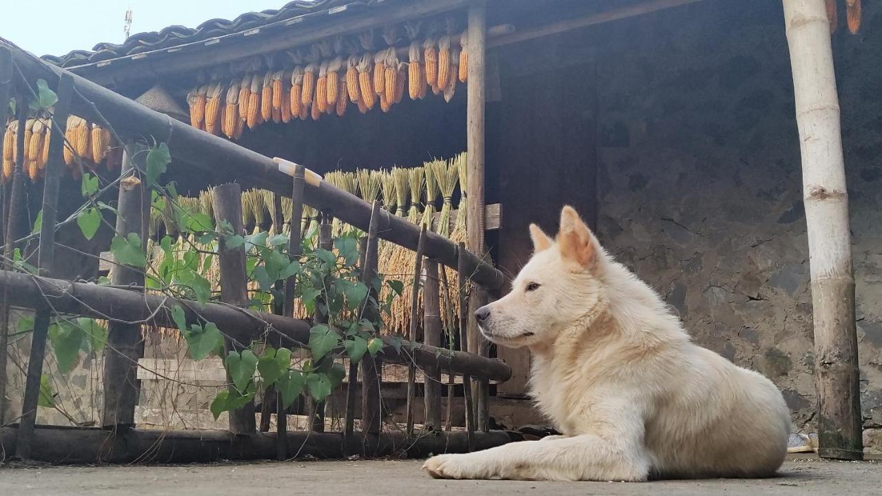 Hoang Cong Ban Gioc Homestay Каобанг Экстерьер фото
